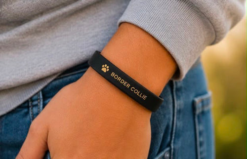 PAW LOVE BAND – Labrador Edition 🐾